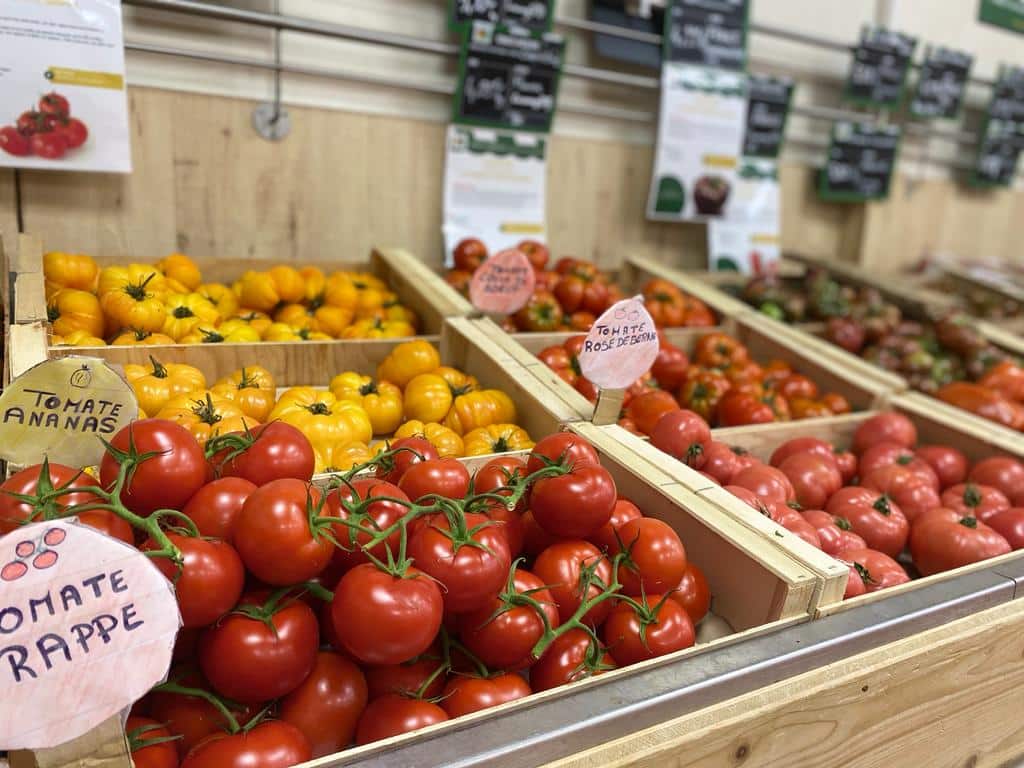 Étals tomates Terres Lyonnaises Bugeaud