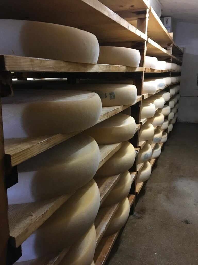 comté terres lyonnaises fromage comté terres lyonnaises