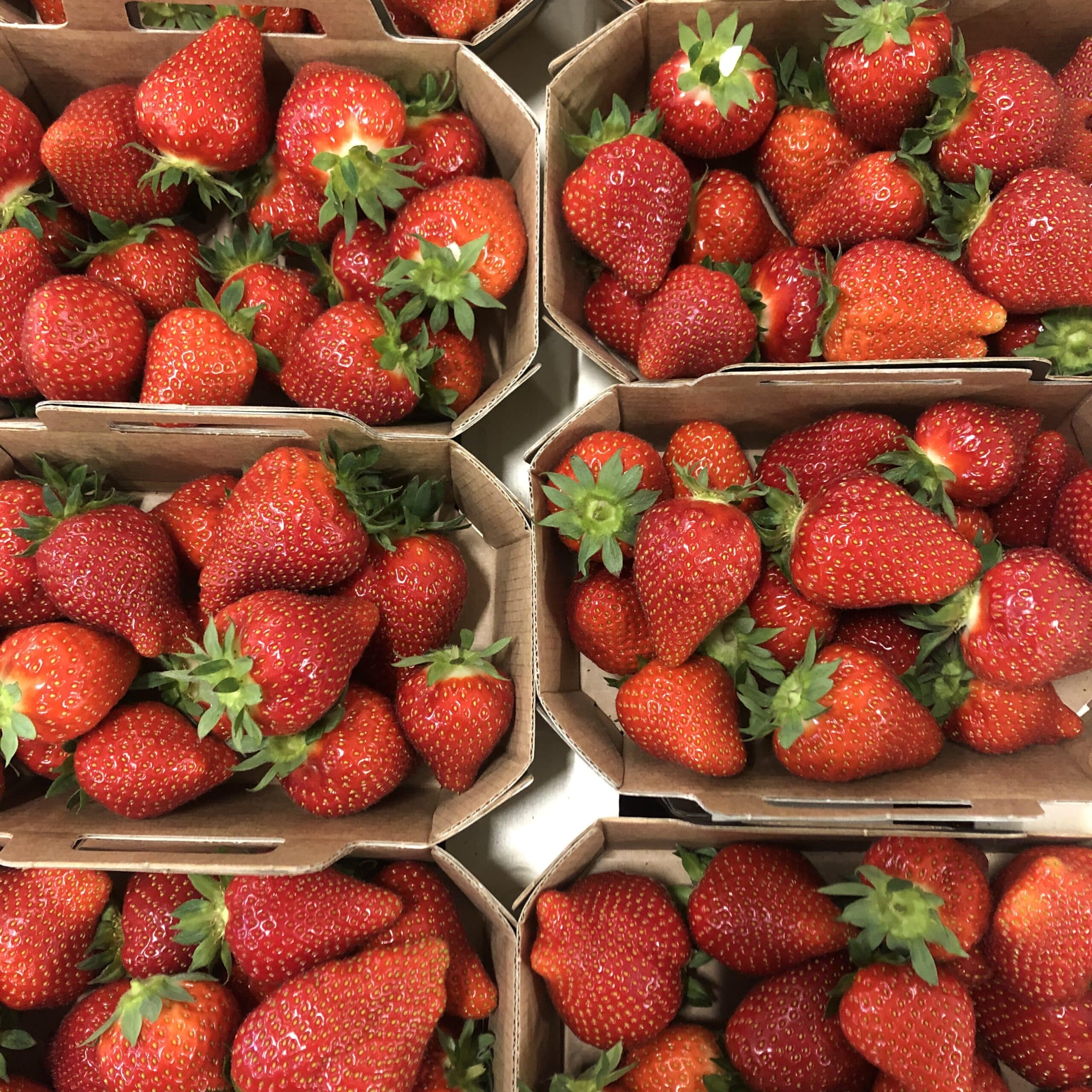 NIDS CHOCO-FRAISE DE PÂQUE