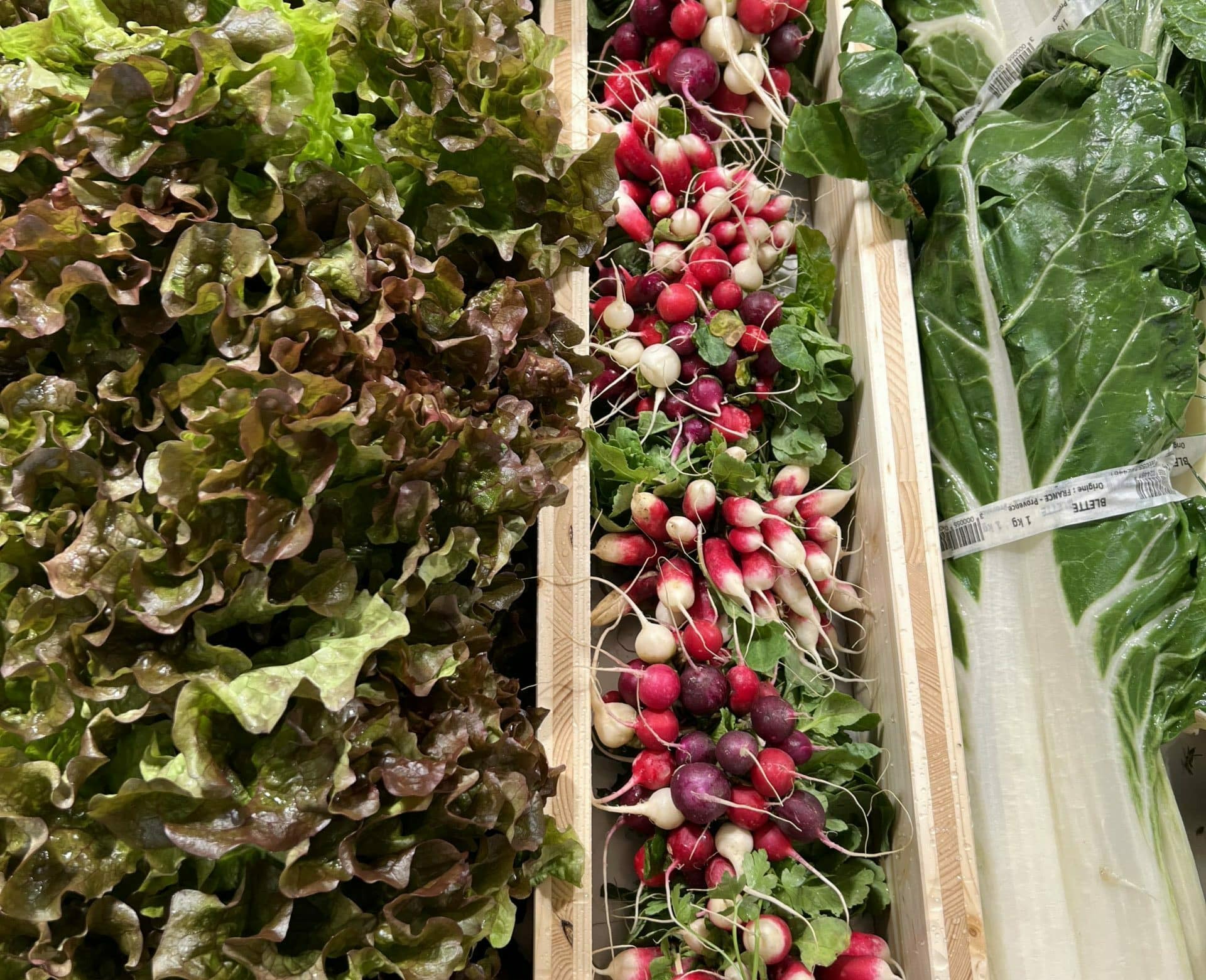 legumes terres lyonnaises