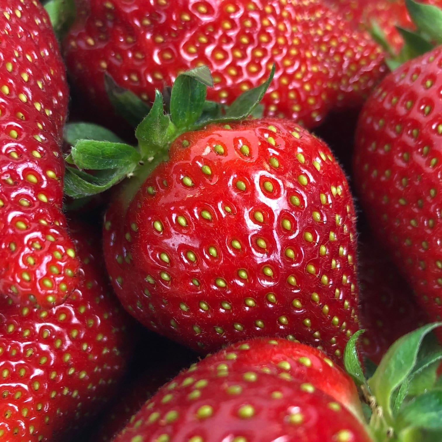 LA TARTELETTE SUCRÉE AU LIMON CURD ET FRUITS DE SAISON