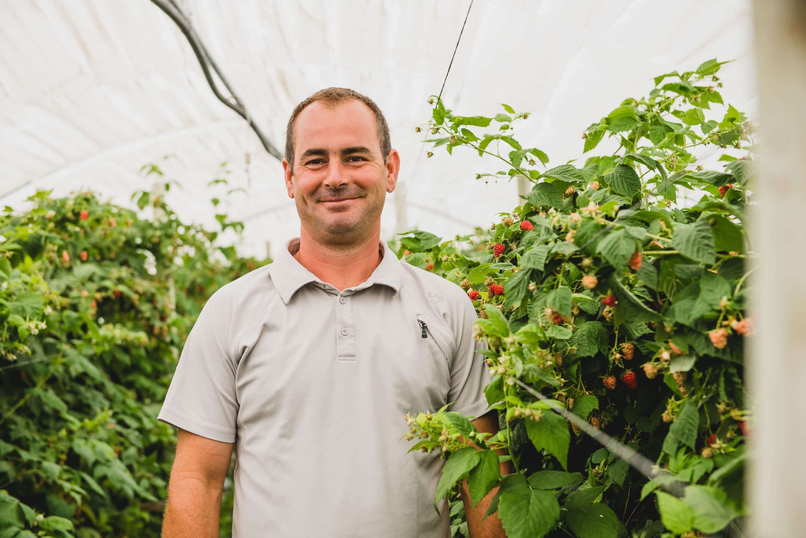 producteur mûre sicoly