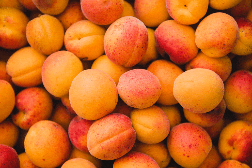 Abricots Terres Lyonnaises