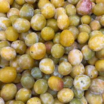 Prunes Mirabelle Terres Lyonnaises