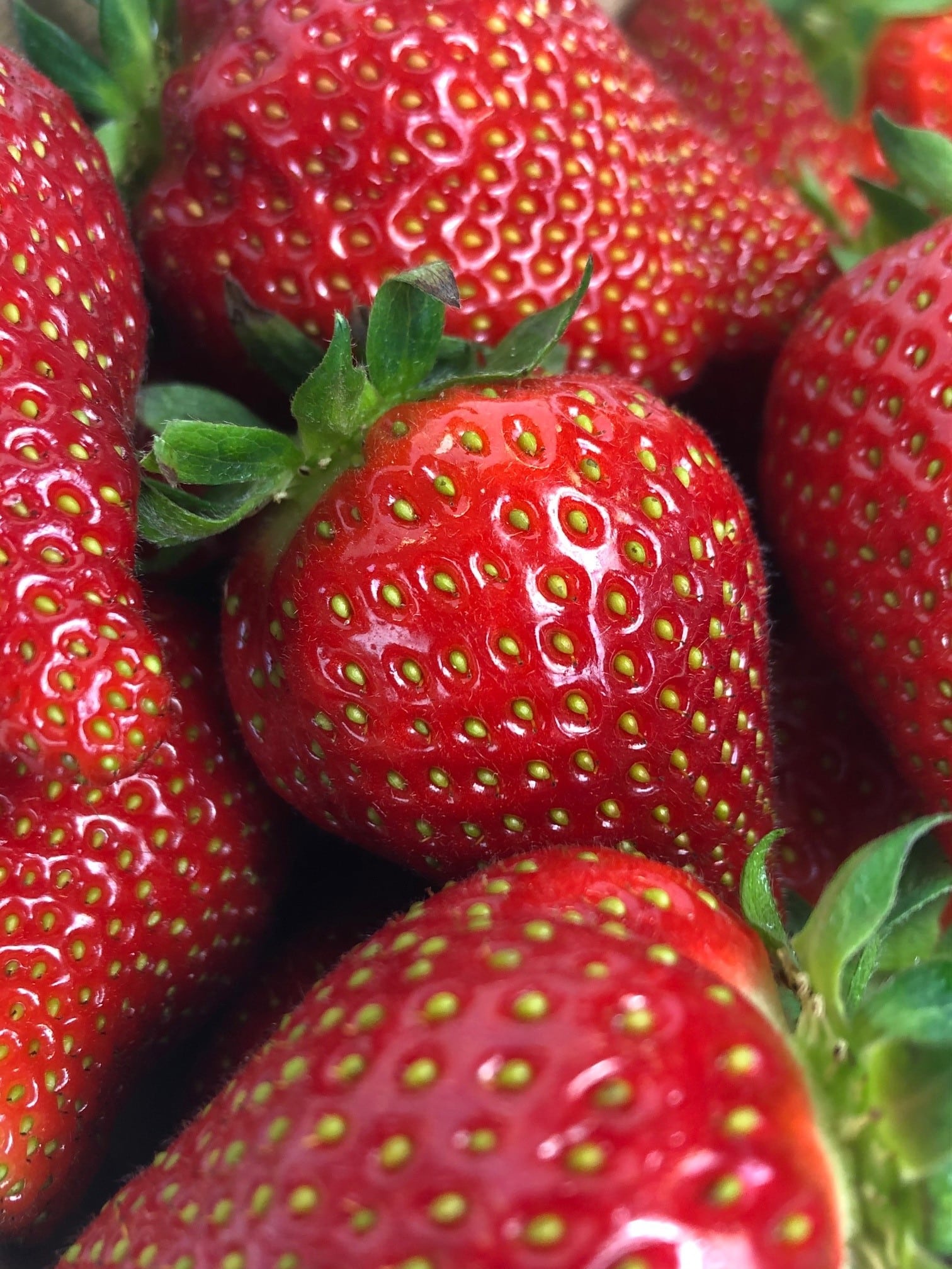 LE BOUQUET DE FRAISES