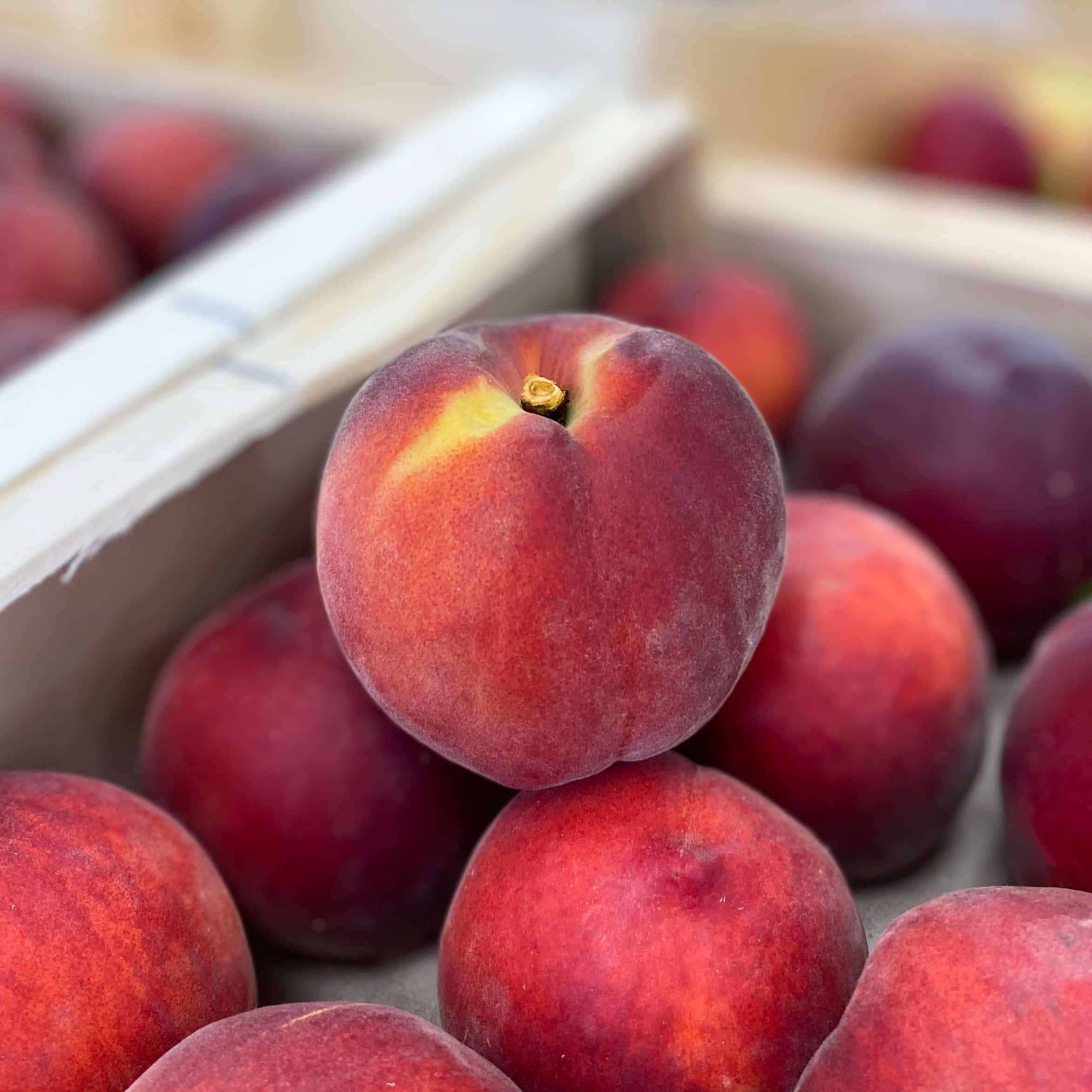 LES ROULEAUX DE PRINTEMPS AUX PETITS FRUITS