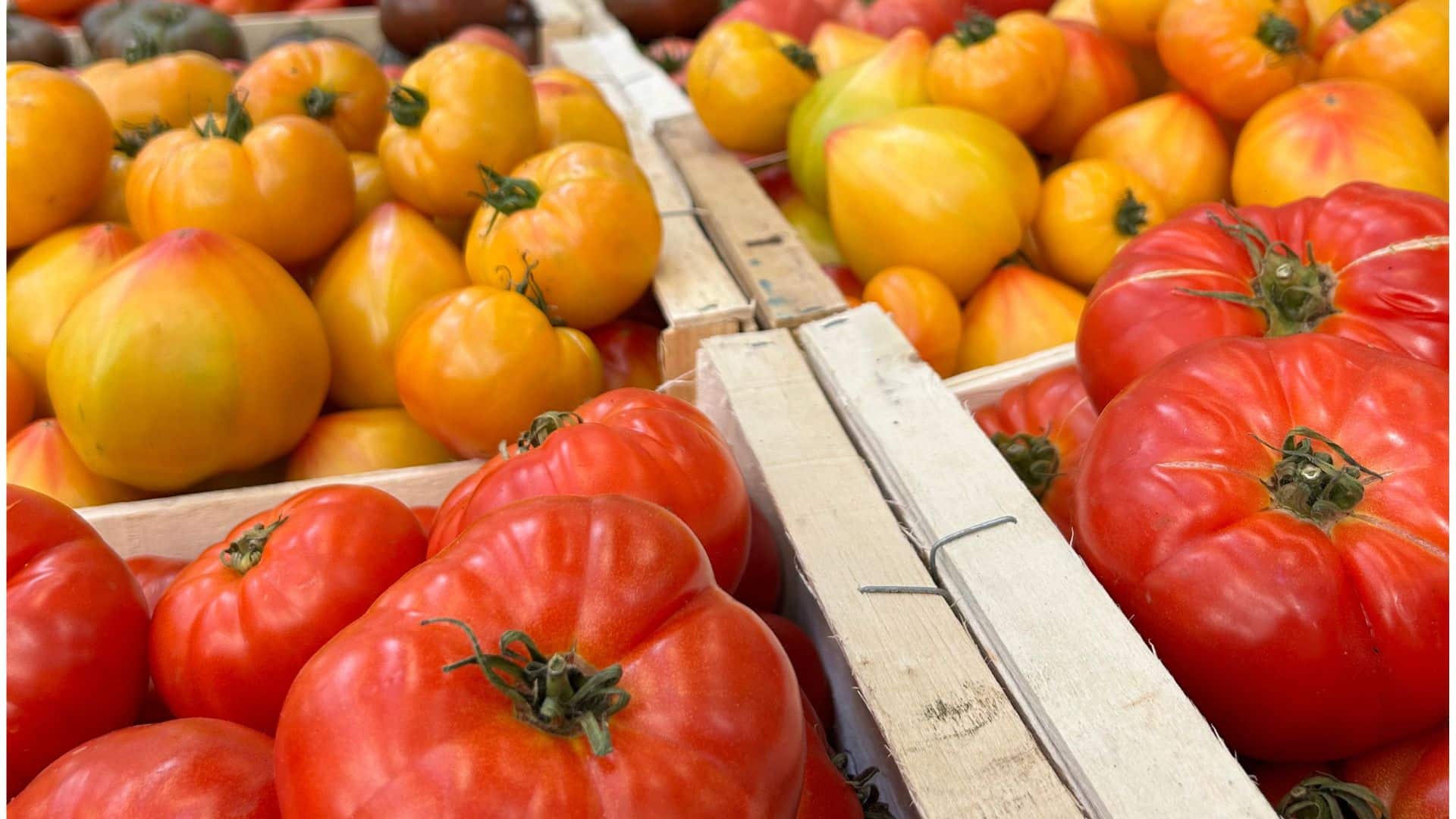 LA TOMATE FARCIE D’ÉTÉ…