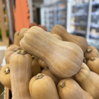 Courge butternut