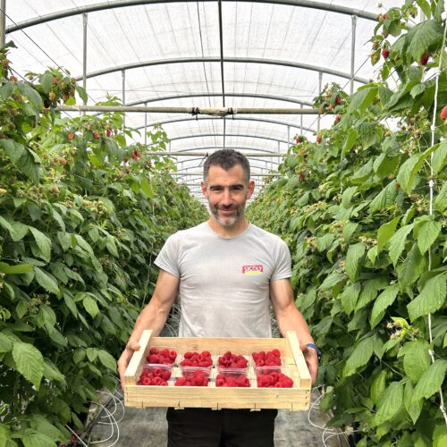 Gregory Rousset producteur local de framboises