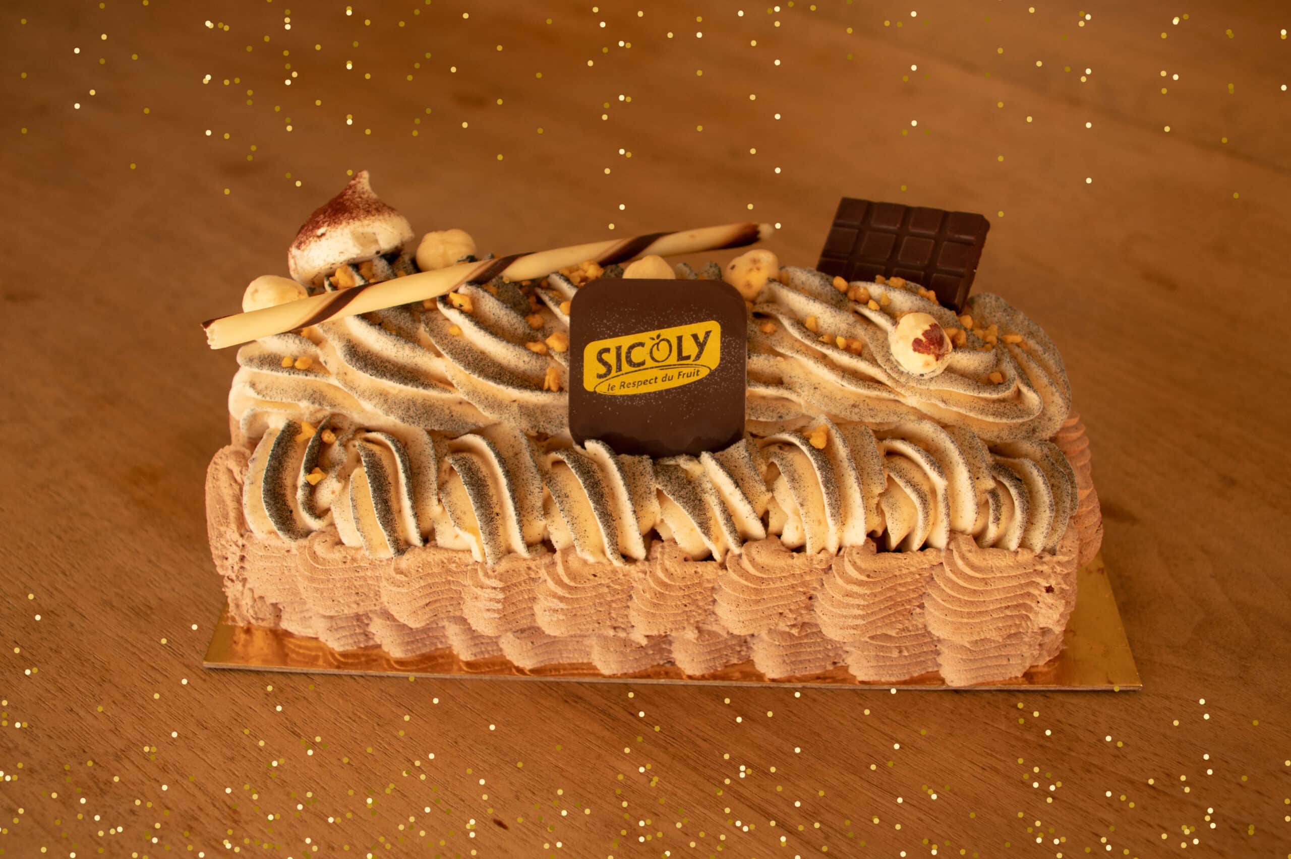 Bûche glacée chocolat/noisette