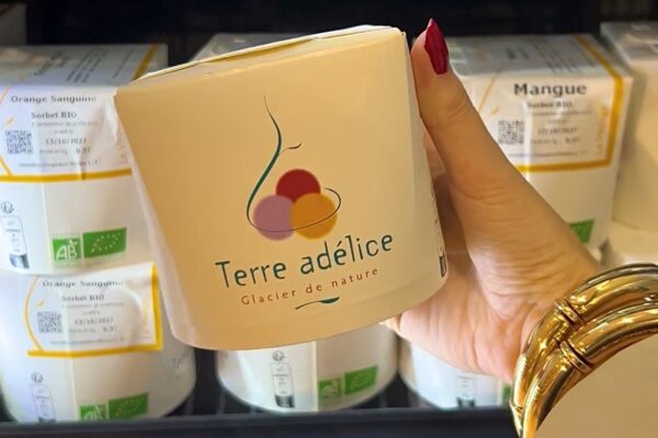 glace terre adélice